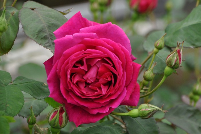 Хġġۥ륹ƥץåġ  6ȭʡJ-OB20