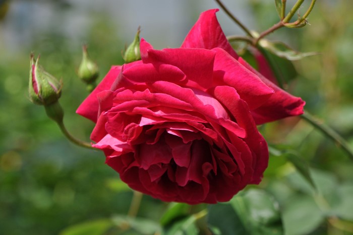 Хġġۥ륹ƥץåġ  6ȭʡJ-OB20