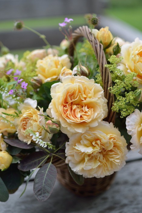 �����ġۥХ��� �����Ρ��ȥ� ���� 6��ȭ�����ʡ����ӿ建�� ��Ͽ�ʼ�ϡ�Han-DEL��