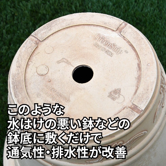 �ͥå�����ȭ���� �ץ�ߥ����������쥯����� ZIK-10000