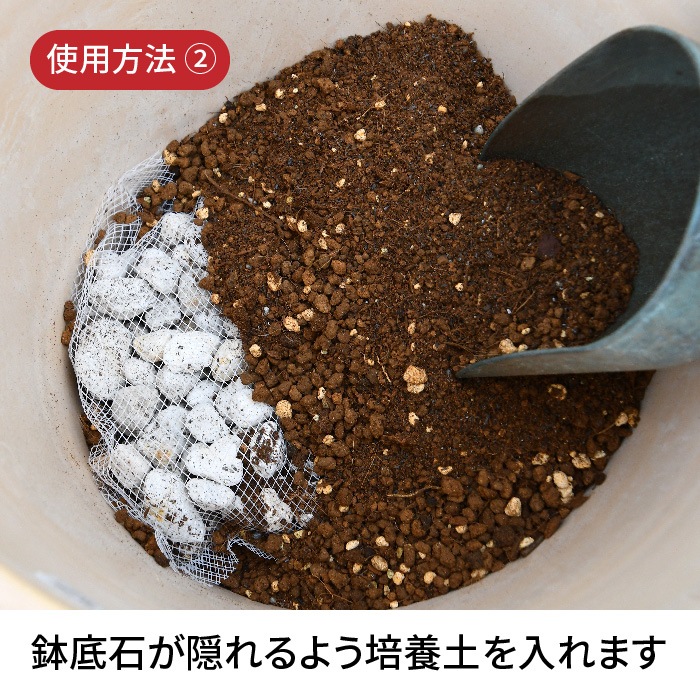 �ͥå�����ȭ���� �ץ�ߥ����������쥯����� ZIK-10000