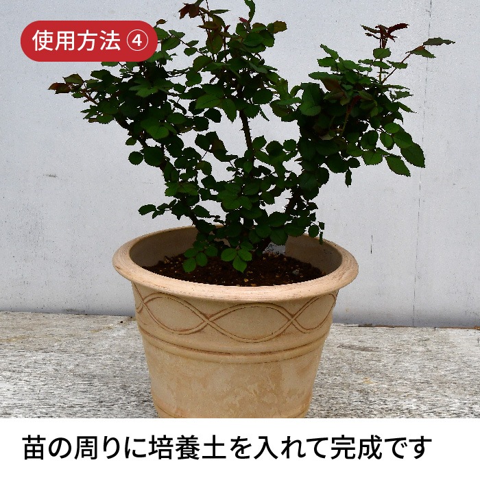 �ͥå�����ȭ���� �ץ�ߥ����������쥯����� ZIK-10000