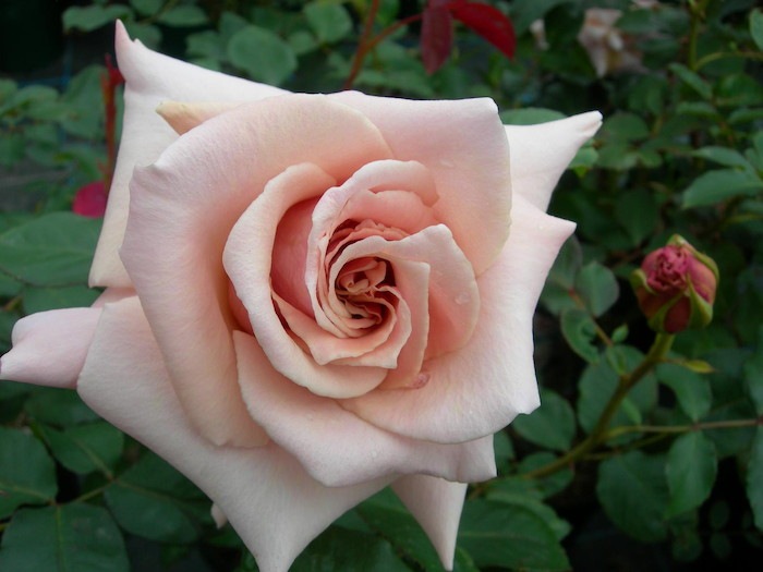 Хġġۥƥ  6ȭʡηʼϡKb-KBO