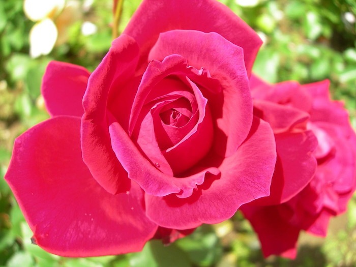 Хġġۥꥹǥ  6ȭʡJ-HT20