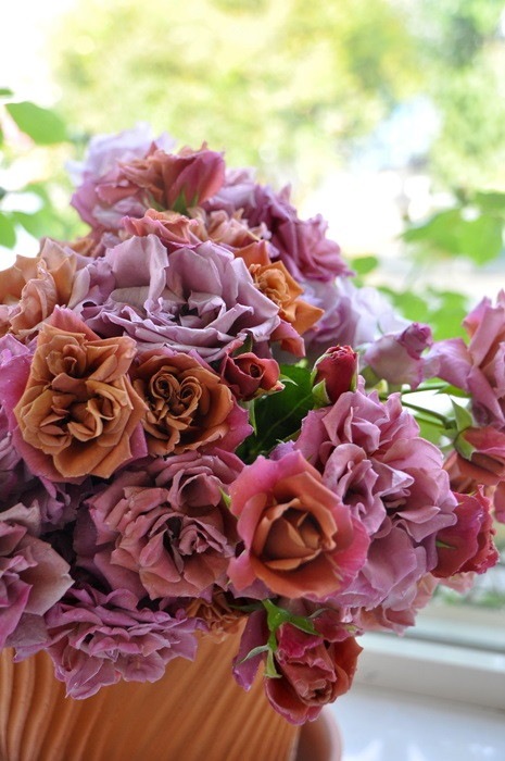 �����ġۥХ��� ���������㡹�� ���� 6��ȭ�����ʡη����ʼ�ϡ�MA-MA��