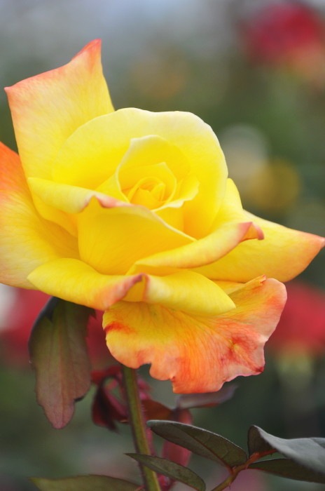 Хġġۤڹͺۥ  6ȭʡJ-HT20