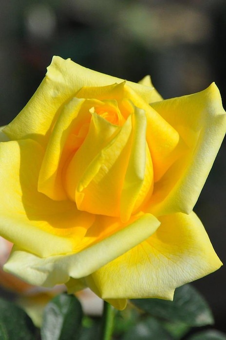 ġۥХ С  6ȭʡJ-HT20