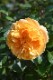 ġۥХ ҥ  6ȭʡӿ建 ʼϿдϡJ-RP2024տʼ