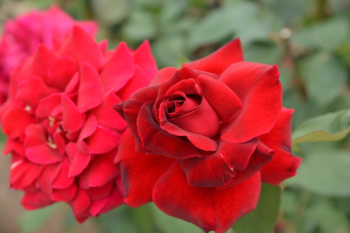 �Х��ġ����ġۥߥ�������󥫡��� ���� 6��ȭ�����ʡ�J-HT20��