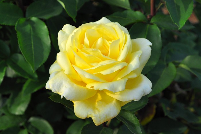 ġۥХ 襳ϥ  6ȭʡӿ建 ϿʼϡIR-IRO3