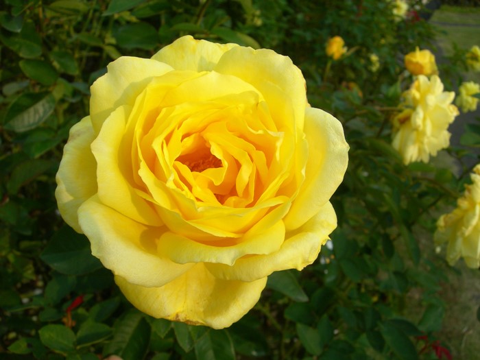 ġۥХ 襳ϥ  6ȭʡӿ建 ϿʼϡIR-IRO3