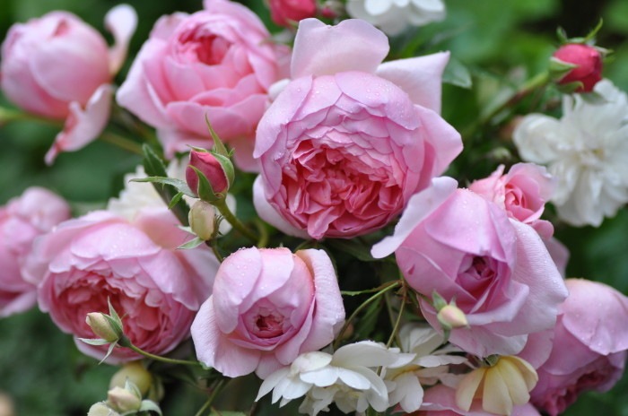 ġۥХ ȥåȤ  6ȭʡӿ建 ϿʼϡKb-KBO