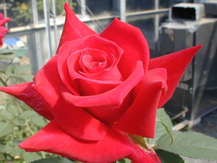 ġۥХ ڥޥ쥤  6ȭʡηʼϡMA-MA