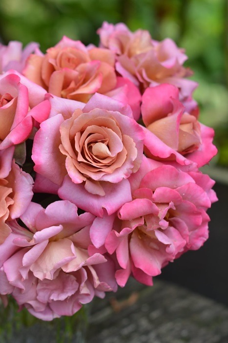 Хġġۥɥ졼  6ȭʡӿ建 ʼϿдϡKb-KBO