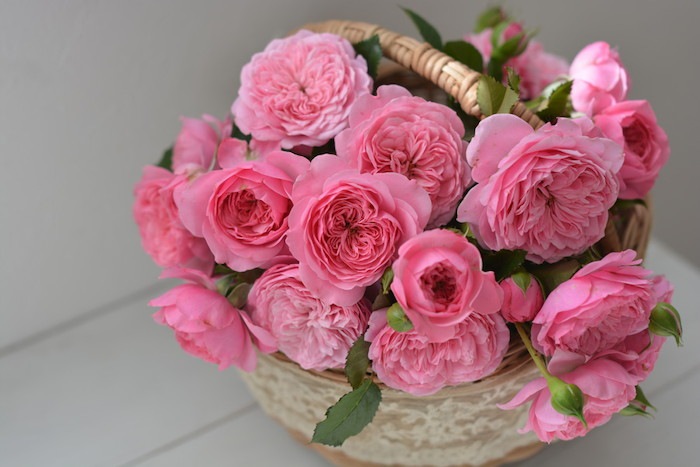 �Х��ġ����ġۥե��졼�� ���� 6��ȭ�����ʡ����ӿ建�� ��Ͽ�ʼ�ϡ�Kb-RM��