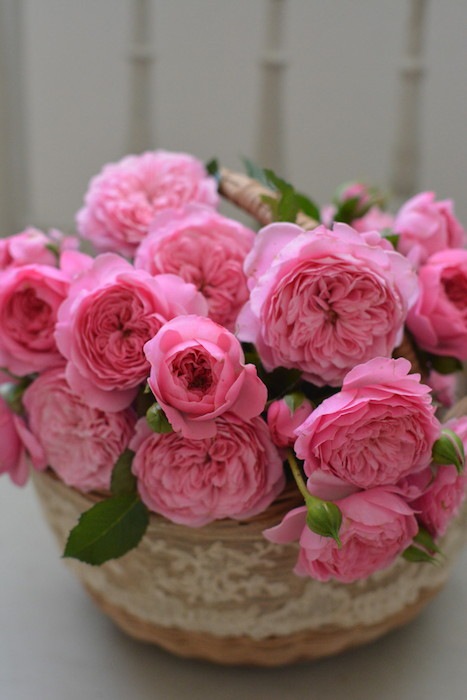 �Х��ġ����ġۥե��졼�� ���� 6��ȭ�����ʡ����ӿ建�� ��Ͽ�ʼ�ϡ�Kb-RM��