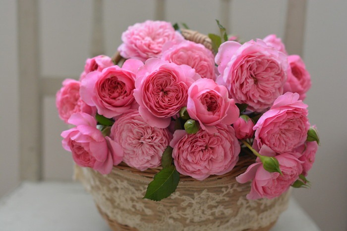 �Х��ġ����ġۥե��졼�� ���� 6��ȭ�����ʡ����ӿ建�� ��Ͽ�ʼ�ϡ�Kb-RM��