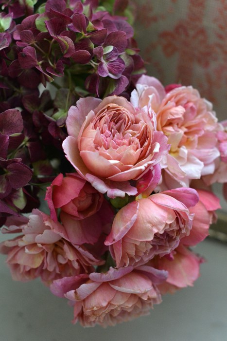 �Х��ġ����ġۥ֥��ɥ꡼ ���� 6��ȭ�����ʡ����ӿ建�� ��Ͽ�ʼ�ϡ�Kb-RM��