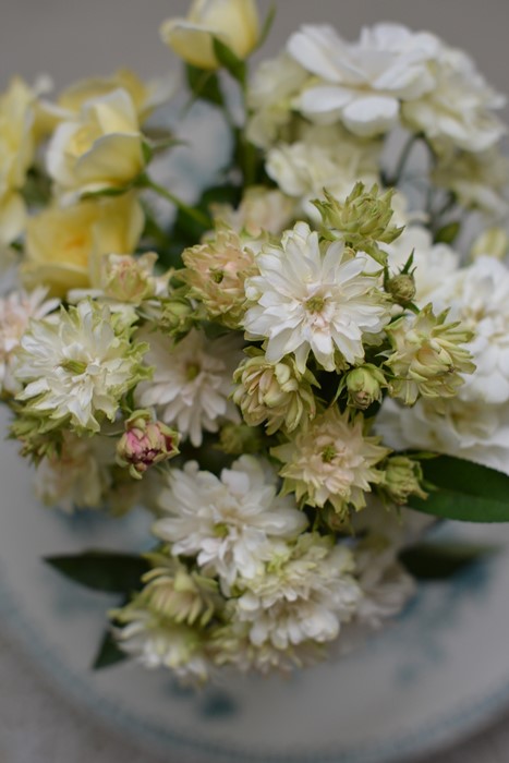 �Х��ġ����ġۤ���ڤ��Ȥ� ���� 6��ȭ�����ʡ����ӿ建�� �ʼ���Ͽ�д���ϡ�Kb-RM��