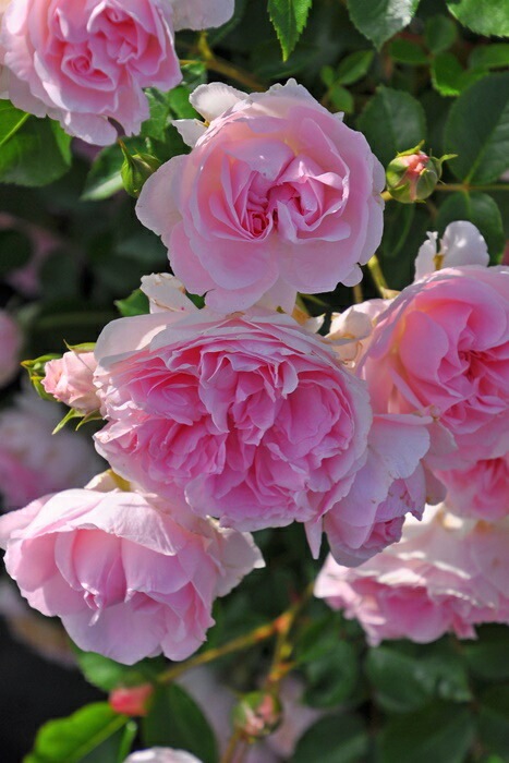 ġۥХ ˡ  6ȭʡJ-FL20