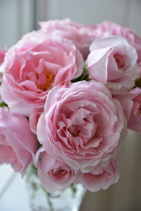 ġۥХ ץ󥻥쥢ɥ٥른å  6ȭʡӿ建 ϿʼϡKb-JAN