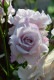 Хġ6濷ġۥ󥢥󥿥ࡼ  6ȭʡηʼϡKMG-KMG
