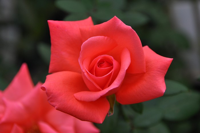 Хġġۥϡˡ  6ȭʡJ-HT20