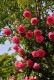 Хġڿġۥݡޥƥ ġηʼϡKMG-KMG
