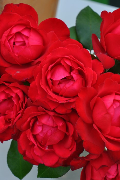 �Х��ġ����ġۥƥ������� ���� 6��ȭ�����ʡ����ӿ建�� �ʼ���Ͽ�д���ϡ�IR-IRO3��