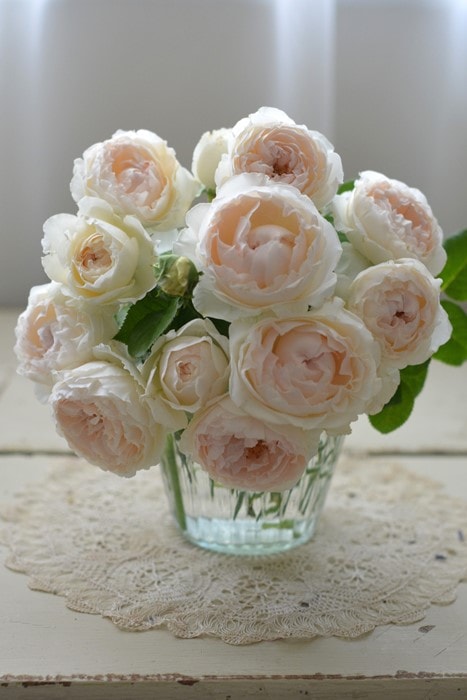 ���ߵ����ġۥХ��� �ߥ���ɥ��ե��� ���� 6��ȭ�����ʡ����ӿ建�� �ʼ���Ͽ�д���ϡ�Kb-RM��