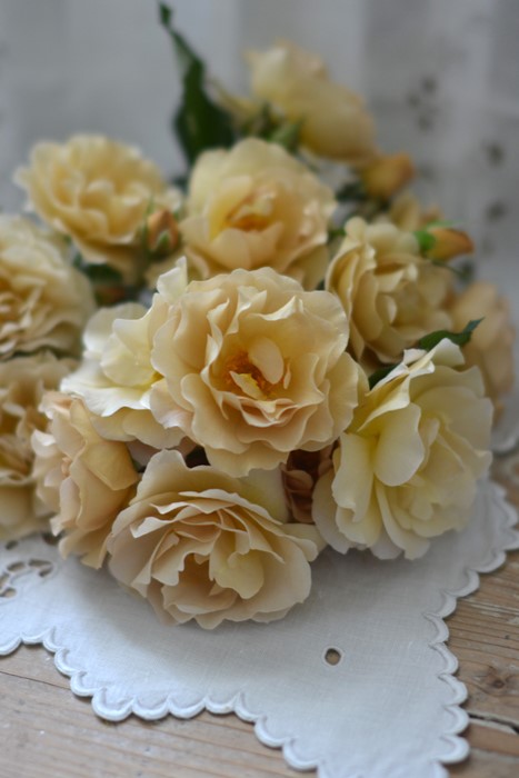 ���ߵ����ġۥХ��� ��֥��å��� ���� 6��ȭ�����ʡ����ӿ建�� �ʼ���Ͽ�д���ϡ�Kb-RM�ա�0116�����