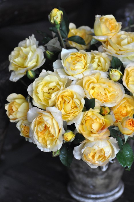 ���ߵ����ġۥХ��� �������ɡ��� ���� 6��ȭ�����ʡη����ʼ�ϡ�Han-DEL��