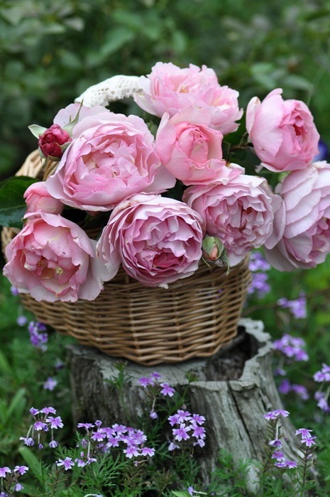 ġۥХ ե쥰󥹥֥ե쥰󥷥  6ȭʡηʼϡKb-KBO