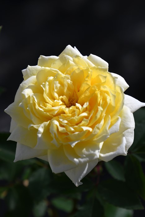 ġۥХ Ҥ­  6ȭʡηʼϡJB-YR2024ʼ