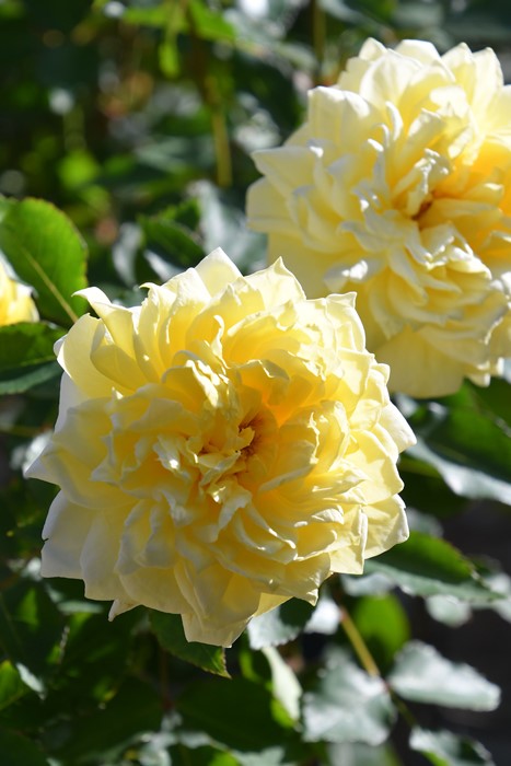 ġۥХ Ҥ­  6ȭʡηʼϡJB-YR2024ʼ