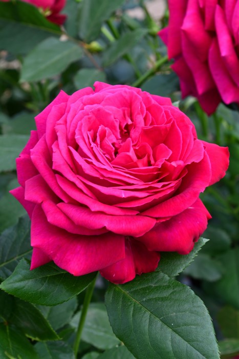 ġۥХ åɥ  6ȭʡηʼϡOS-OS2