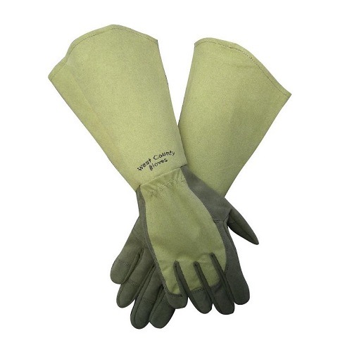 ȥƥڥ⥹(͹ס׼ޡޡǥ󥰥֡ǥ 󥺡ݼ) ڥåȤƱĢ ZIK-900