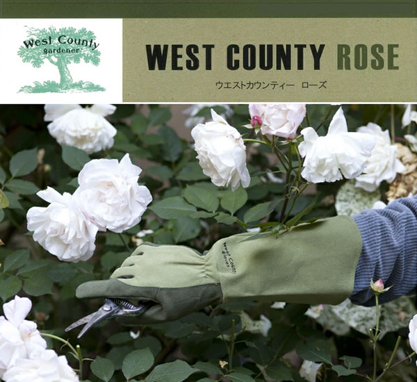 ȥƥڥ⥹(͹ס׼ޡޡǥ󥰥֡ǥ 󥺡ݼ) ڥåȤƱĢ ZIK-900