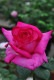 �Х��ġ�6�濷�ġۥѥ����� ���� 6��ȭ�����ʡ�J-HT10��