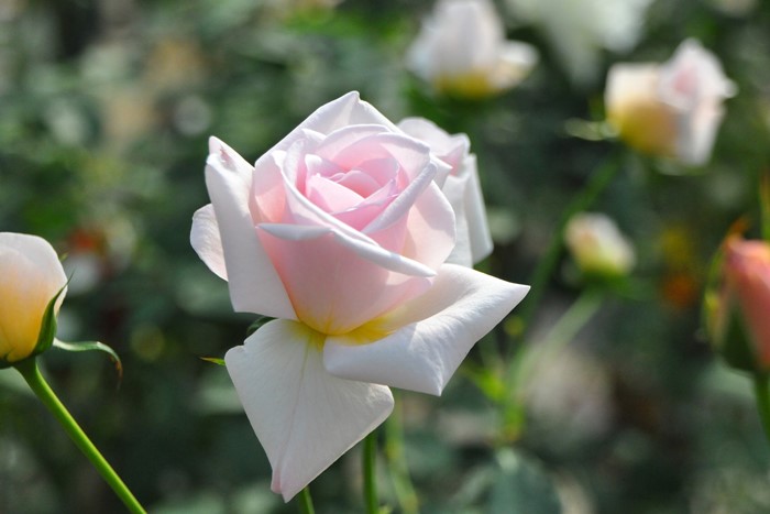 ġۥХ եꥢ  6ȭʡJ-HT20