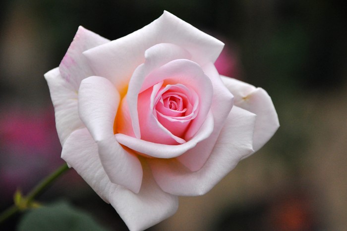 ġۥХ եꥢ  6ȭʡJ-HT20