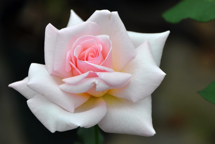 ġۥХ եꥢ  6ȭʡJ-HT20