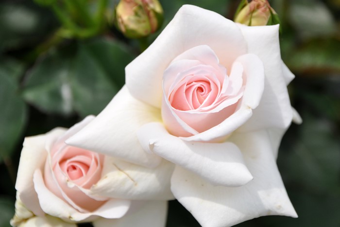 ġۥХ եꥢ  6ȭʡJ-HT20