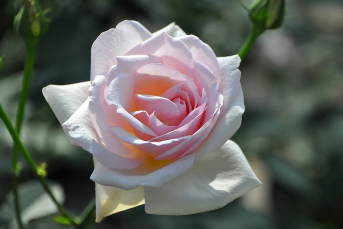 ġۥХ եꥢ  6ȭʡJ-HT20