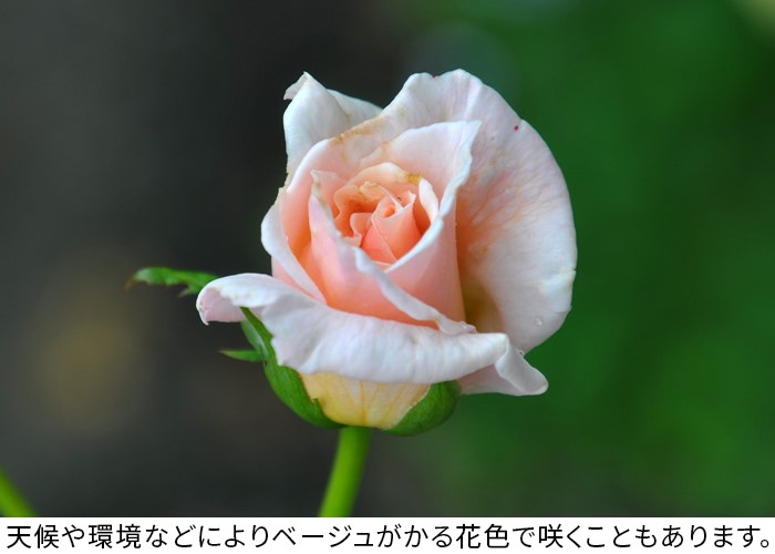 ġۥХ եꥢ  6ȭʡJ-HT20