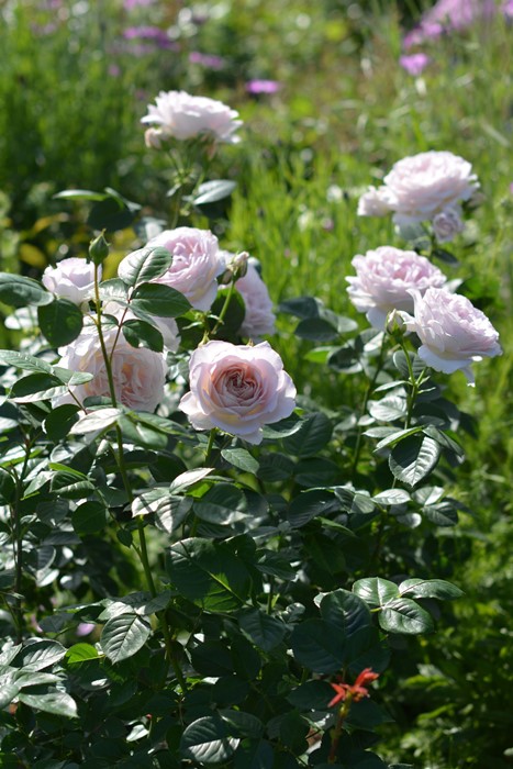 �Х��ġ����ġۥ��ե� ���� 6��ȭ�����ʡ����ӿ建�� �ʼ���Ͽ�д���ϡ�Kb-RM��2025�տ��ʼ�