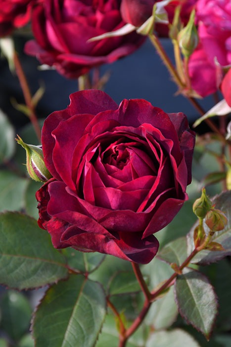 �Х��ġڿ��ġۥ����� ���ġ����ӿ建�� �ʼ���Ͽ�д���ϡ�J-RN��2025�����ʼ��0420�����