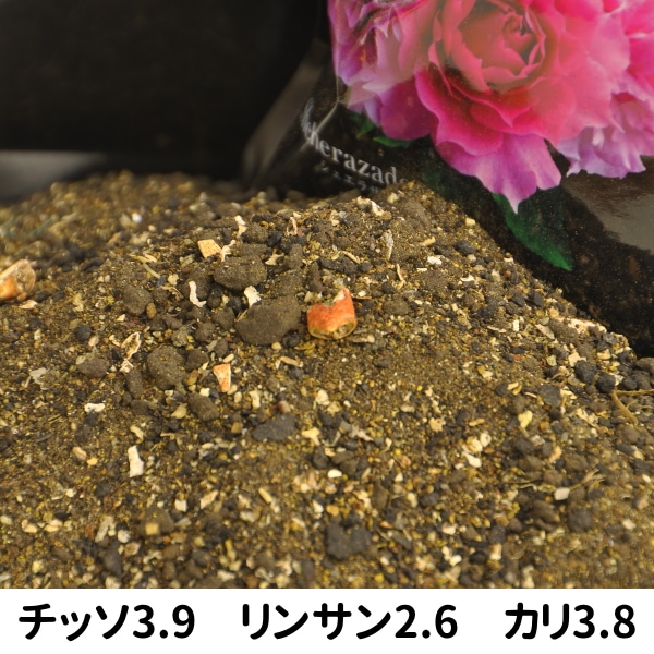 ��3.8kg�ۥץ�ߥ����������쥯�����ڥ������˥å����� 3.8kg��ʴ�������� ZIK-10000