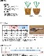 ��3.8kg�ۥץ�ߥ����������쥯�����ڥ������˥å����� 3.8kg��ʴ�������� ZIK-10000