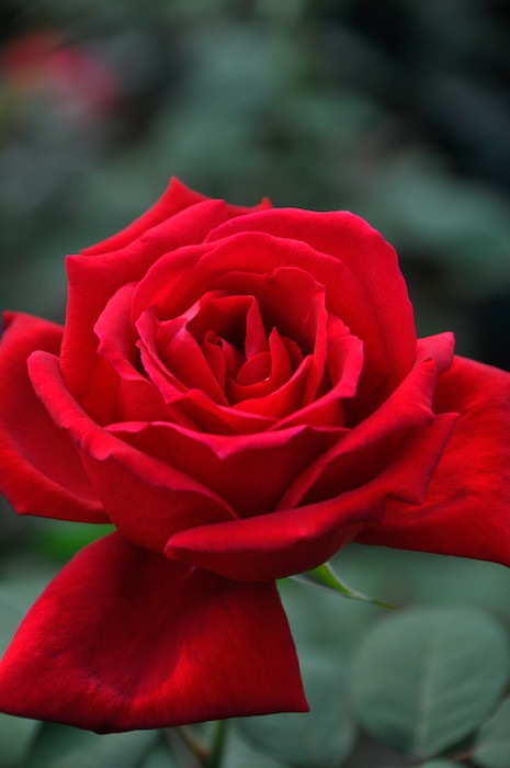 ġۥХ 饤顼ڥꥢ  6ȭʡJ-HT20